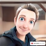 Jérémy Administrateur réseau à Micro Vallée